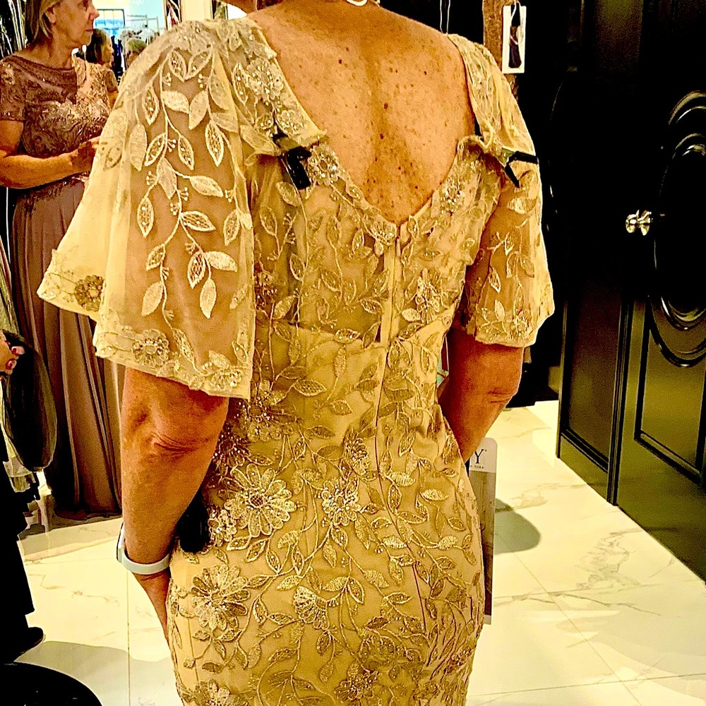 Mother of the Bride-Brand New-Never worn/Silhouette/Mermaid/Champagne Gold